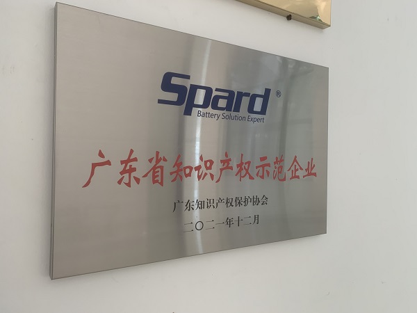 葫芦娃视频看片官网下载新能源荣获2021年度广东省知识产权示范企业